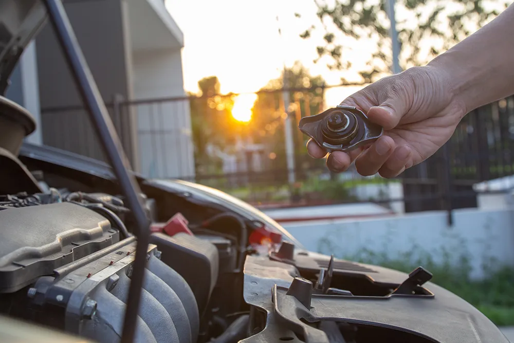 Radiator Replacement - Everything You Need to Know!